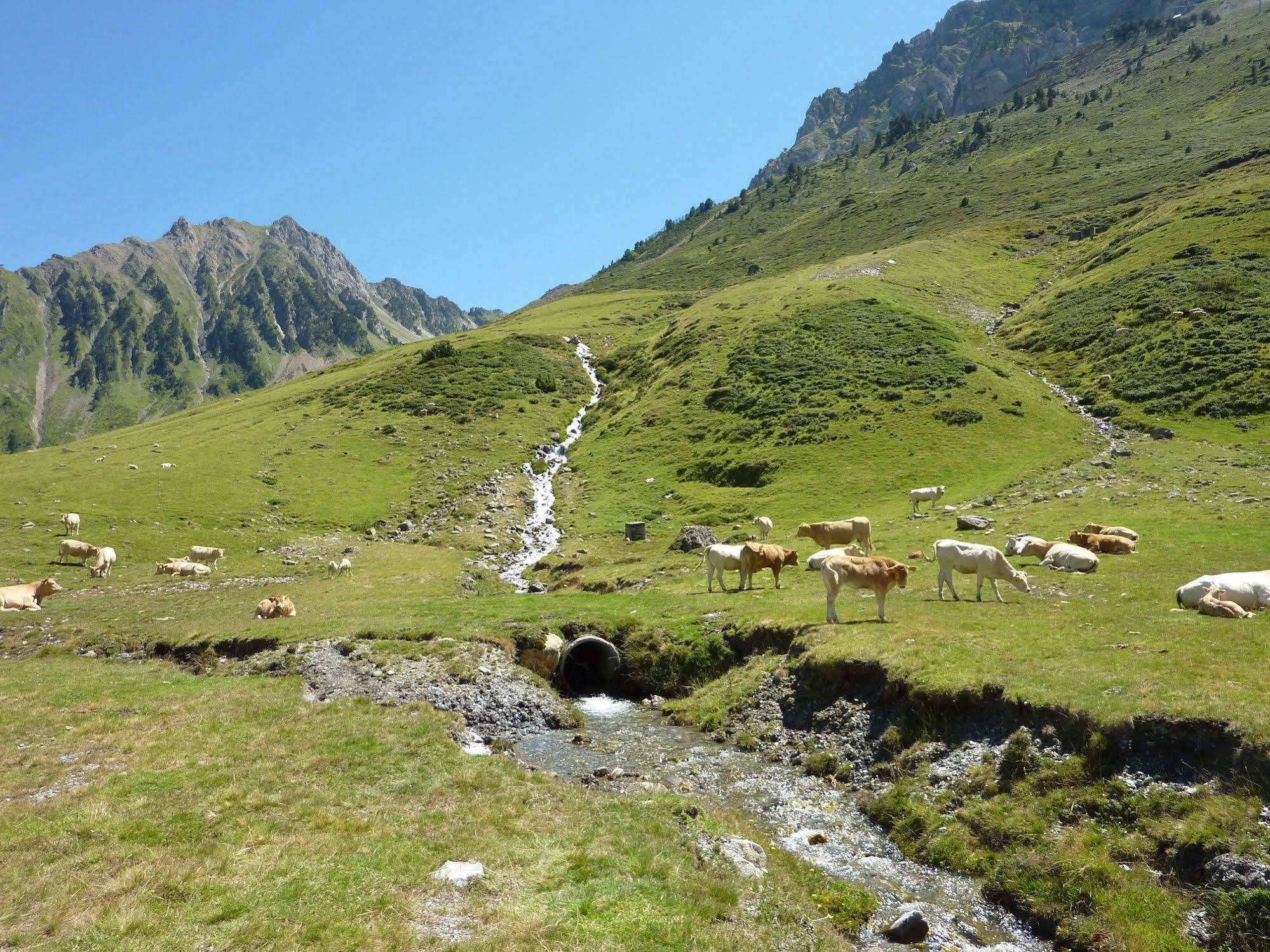 & Golf Tourmalet Aparthotel 3*